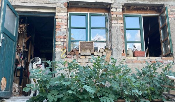 WhatsApp Bild 2025-05-22 um 08.53.19_8b911ef6